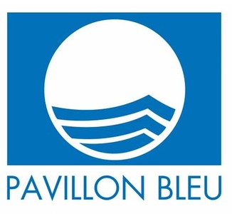 Responsable de gestion et animation du programme Pavillon Bl ... Image 1